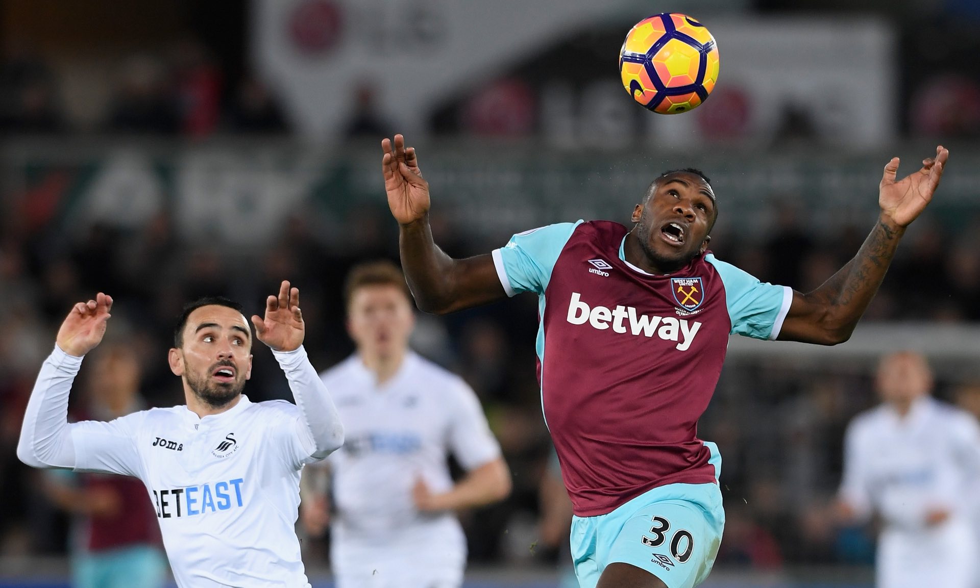 本身的精神 本身的精神